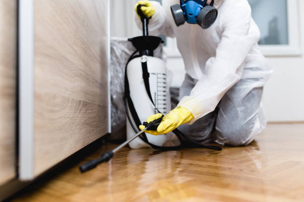 Best Affordable Pest Control Services  in Lawai, HI