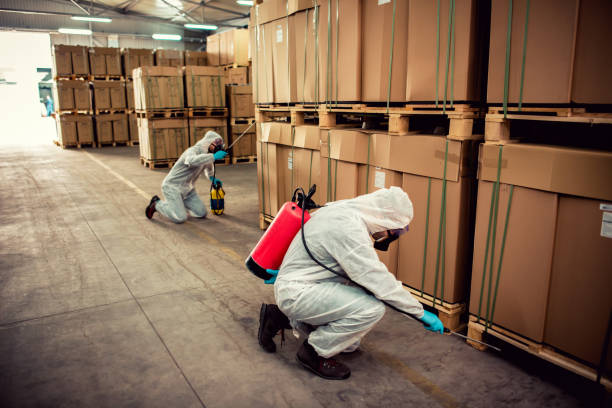 Best Flea Control Services  in Lawai, HI