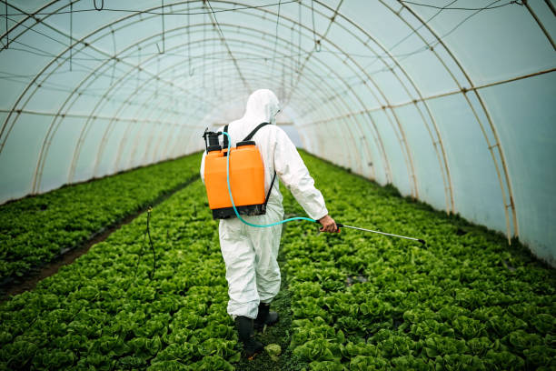 Professional Pest Control in Lawai, HI