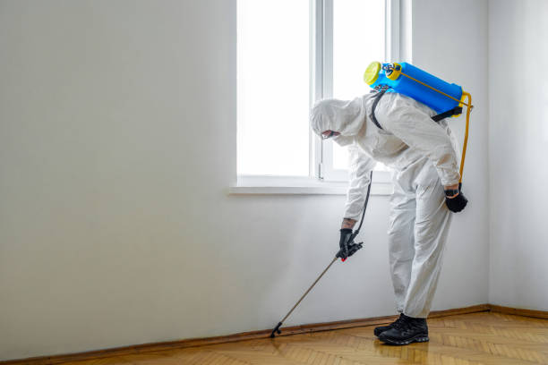 Best Commercial Pest Control Services  in Lawai, HI