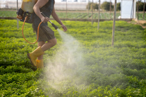 Best Best Pest Control Companies  in Lawai, HI