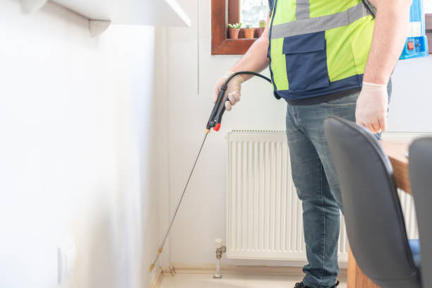 Wasp Removal Services in Lawai, HI