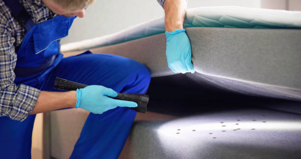 Best Wasp Removal Services  in Lawai, HI