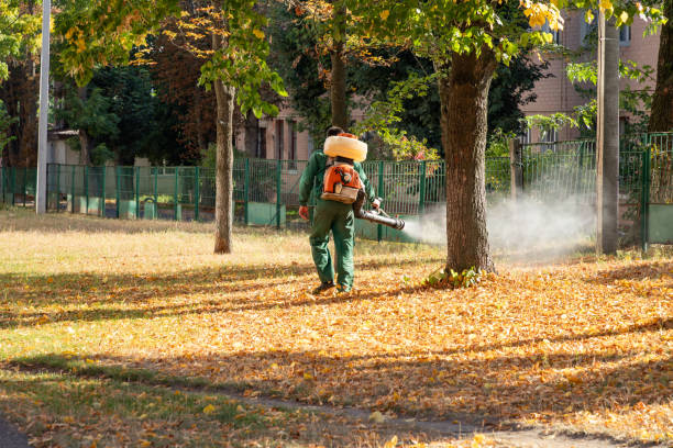 Best Local Pest Control Services  in Lawai, HI