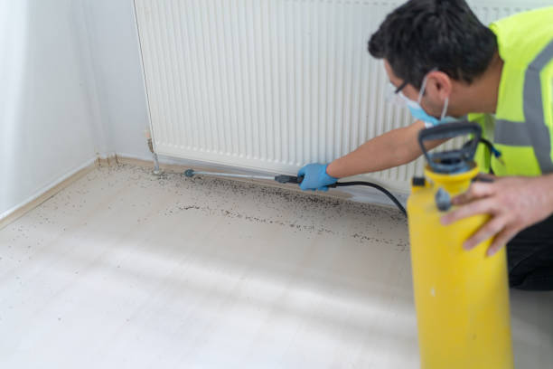 Best Affordable Pest Control Services  in Lawai, HI
